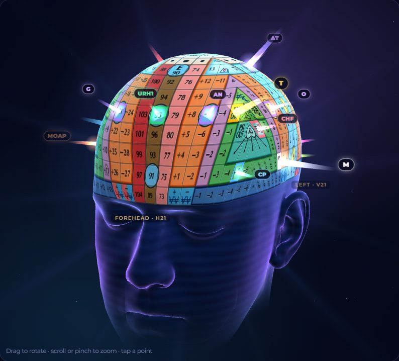 Interactive 3D head with the activation matrix, rendered in real time with three.js